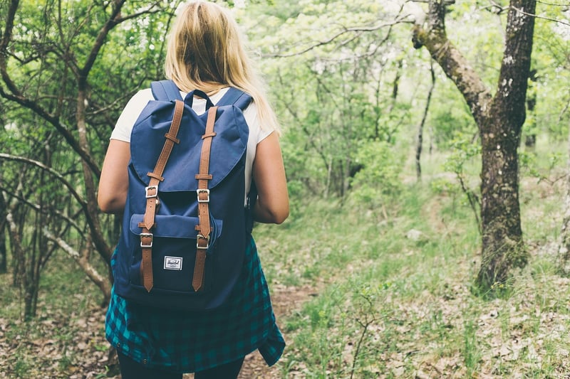 Forest Bathing